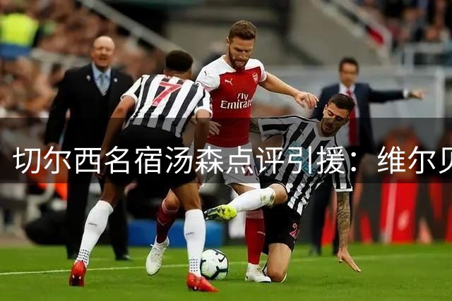 切尔西名宿汤森点评引援：维尔贝克价值被低估 德拉普难堪大任